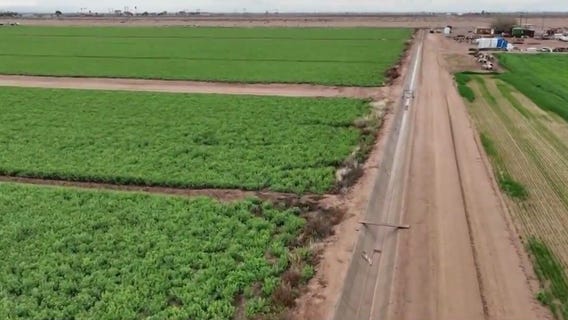 Arizona Water Crisis: Federal government looking at paying farmers to idle some farmland
