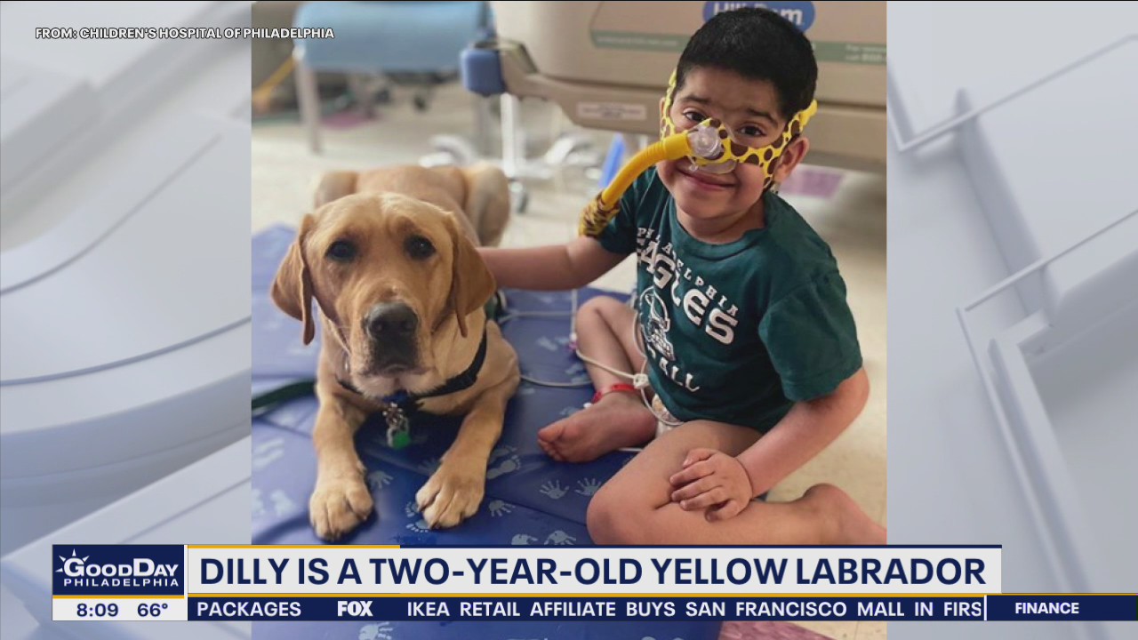 CHOP welcomes first full time service dog