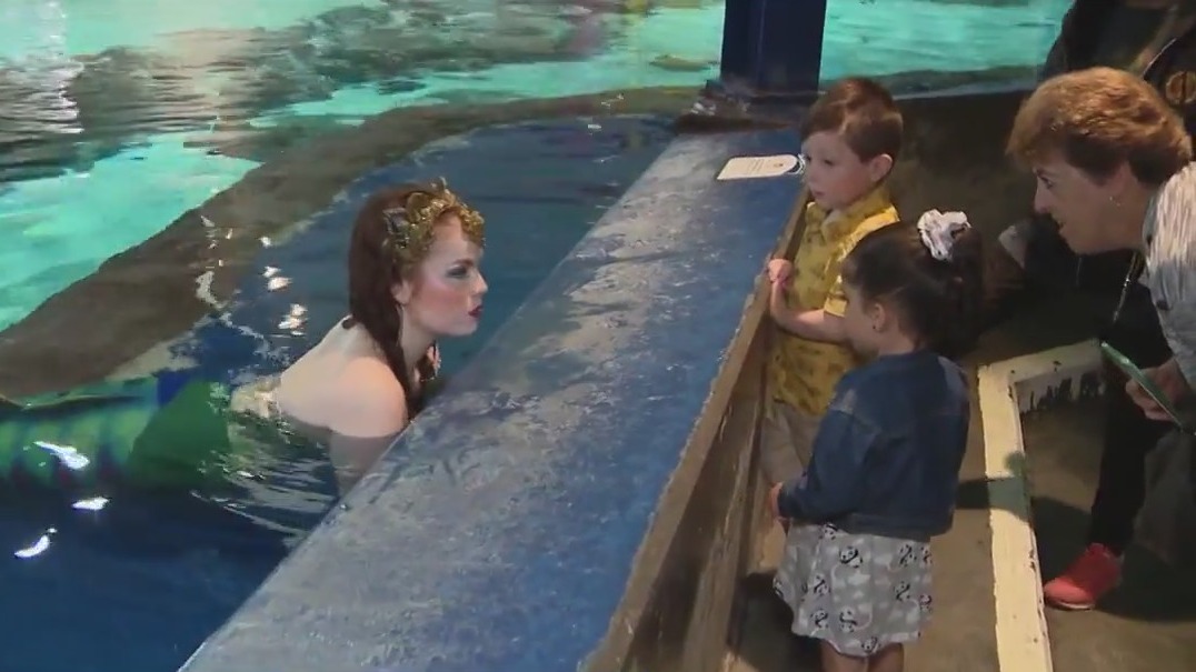 Mermaid Magic returns to Odysea Aquarium through Mar. 19