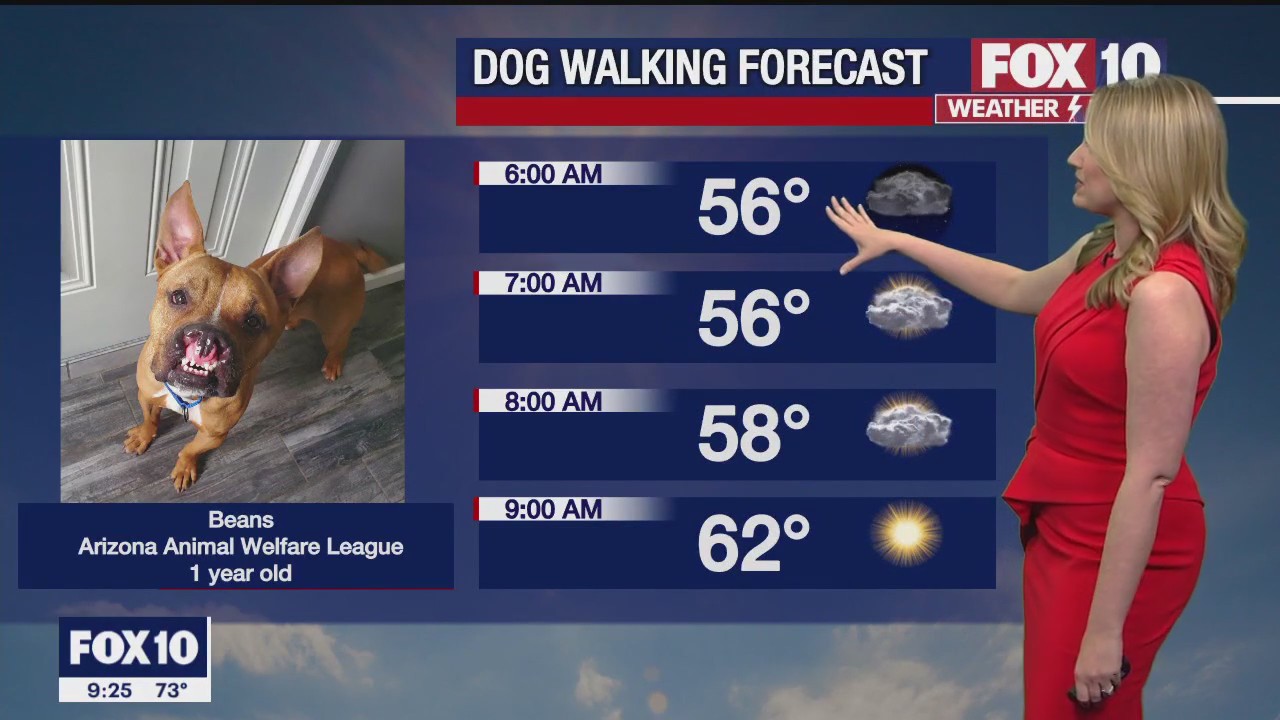 Evening Weather Forecast - 3/12/23