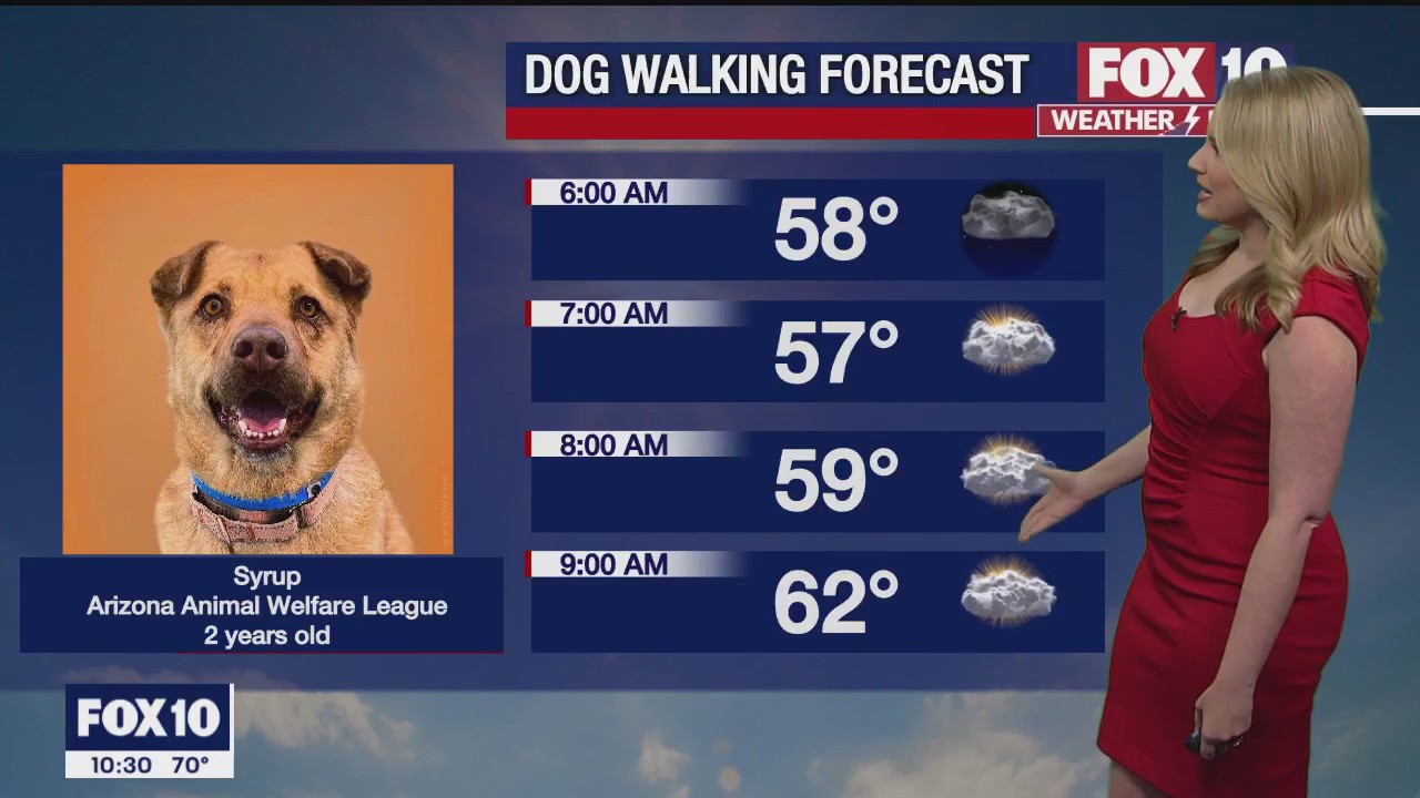Evening Weather Forecast - 3/11/23