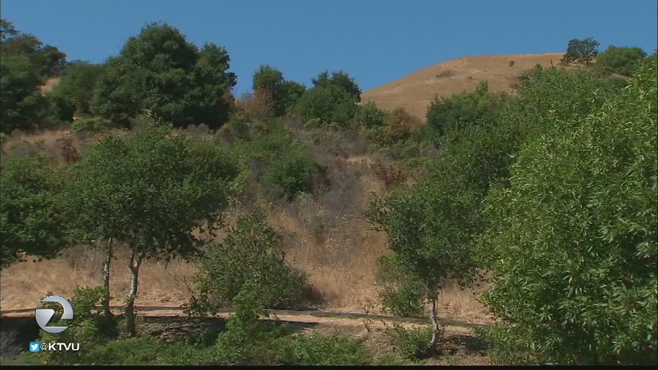 Drought, growth spur fire risk on Bay Area peak