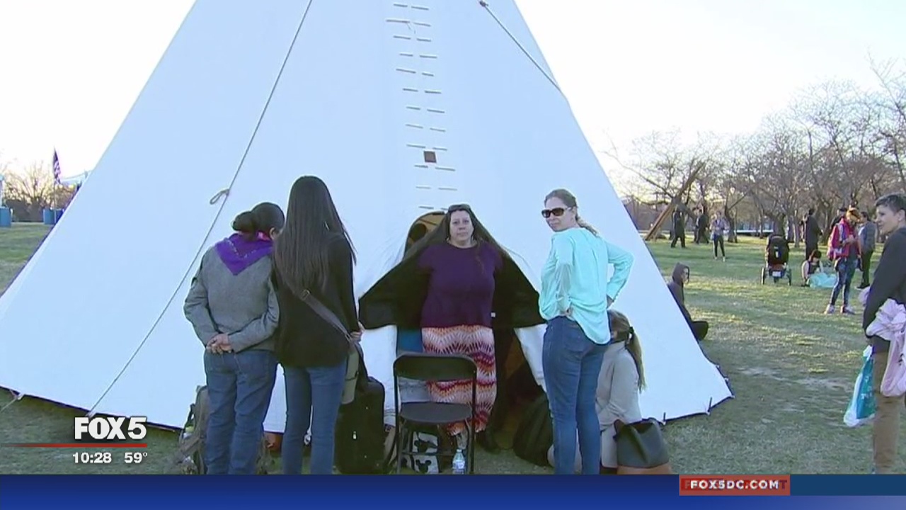 Truly fighting for a cause or professional protesters?