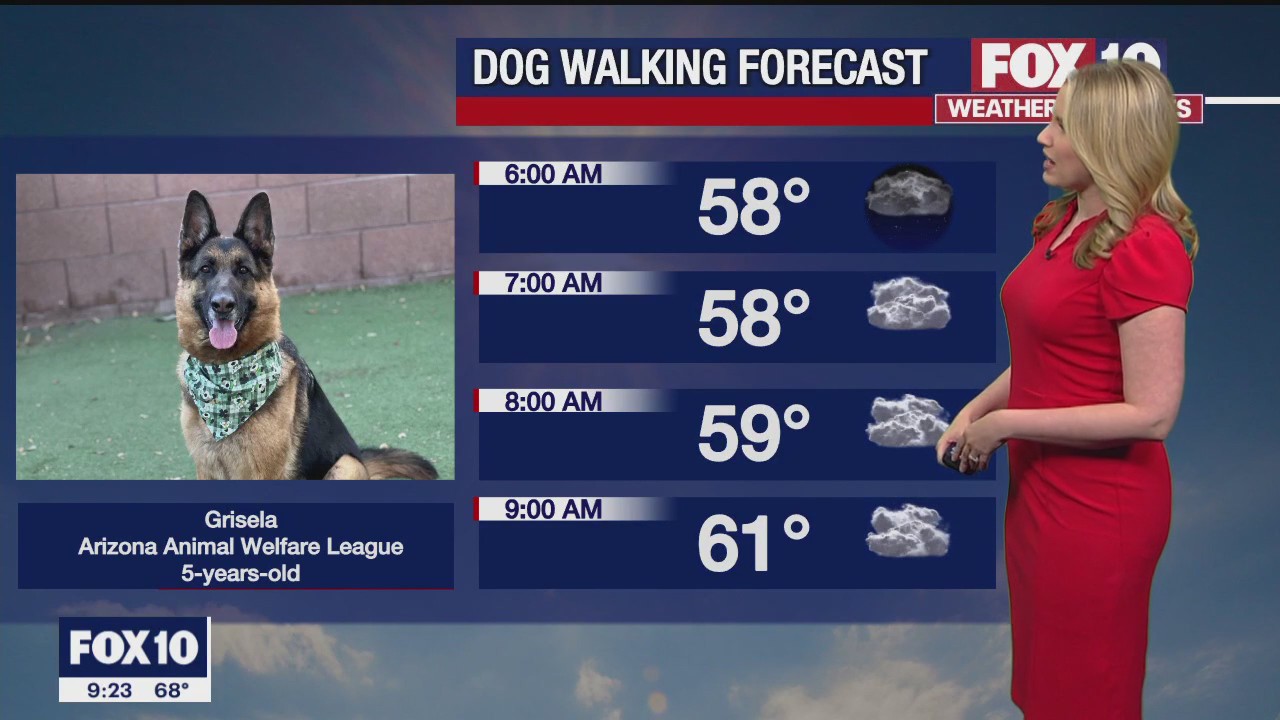 Evening Weather Forecast - 3/18/23