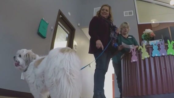 Phoenix veterinarian talks about the shortage of pet care providers