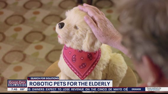 Search for Solutions: Robotic pets for the elderly
