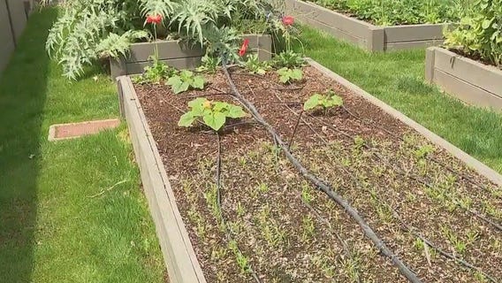 Interested in a farm-to-table lifestyle but don't have the time or skill? An Arizona company can help