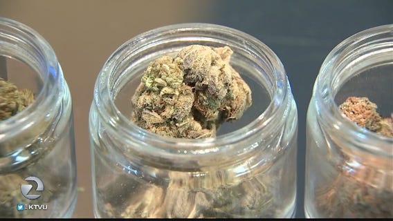 City of Richmond looks to become major center for legal marijuana
