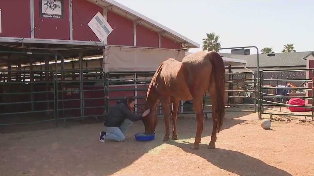 Nonprofit volunteers 'locked' inside trailer as part of Arizona Gives Day donation campaign