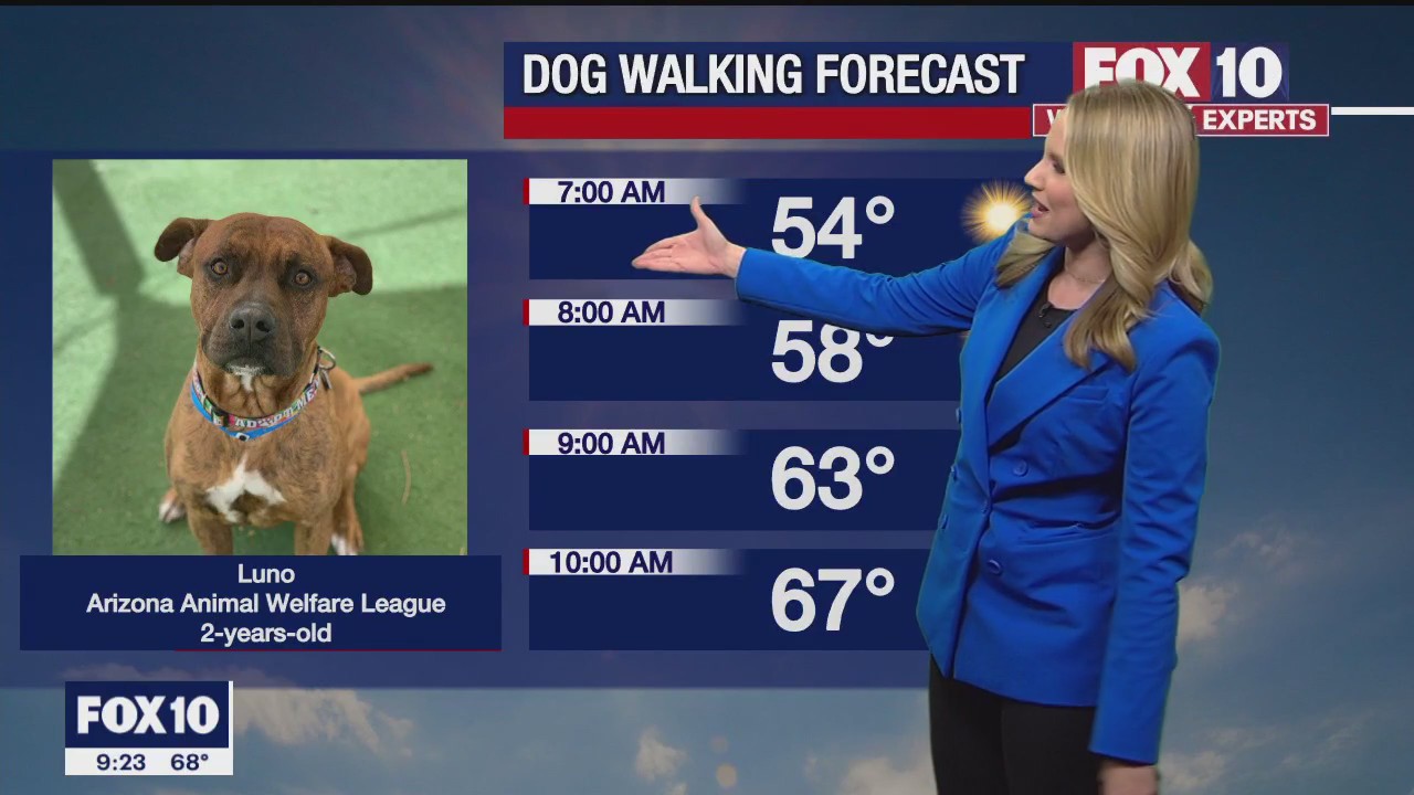 Evening Weather Forecast - 4/1/23