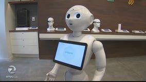 Pepper the robot handles customer service at Palo Alto store