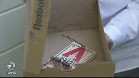 Overrun by Rats: Novato woman blames dumpsters for infestation