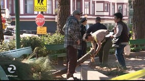 Tree limb falls, critically injures woman in SF North Beach playground
