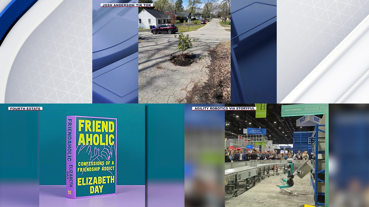 Funny pothole fix, having too many friends, and robot collapses: Here's a look at today's trending stories