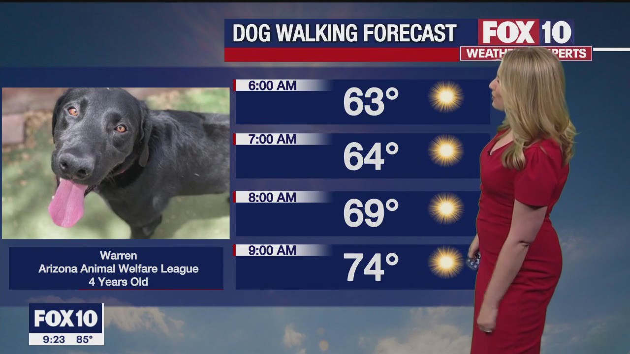 Evening Weather Forecast - 4/16/23