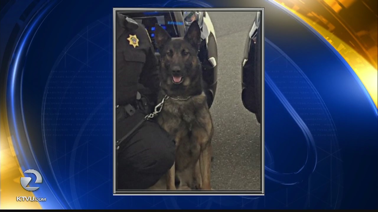 Stabbing suspect shot by police dies