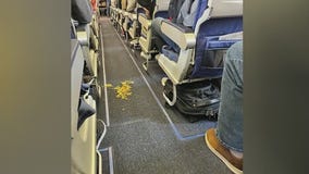 Southwest flight delayed; spilled rice to blame
