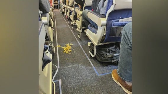 Southwest flight delayed; spilled rice to blame