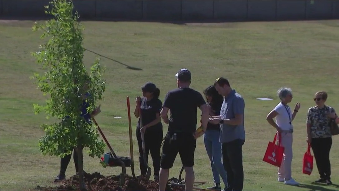 Volunteers plant trees in Mesa to celebrate volunteer week