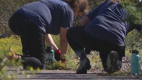 Ahead of Earth Day, volunteers clean up a bird preserve along the Salt River