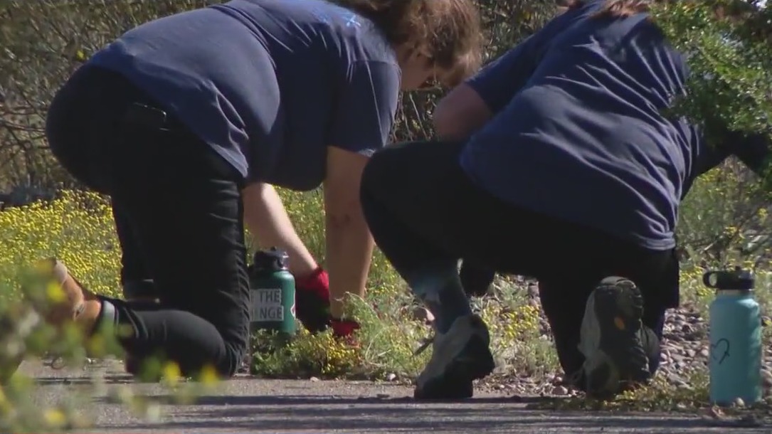 Ahead of Earth Day, volunteers clean up a bird preserve along the Salt River