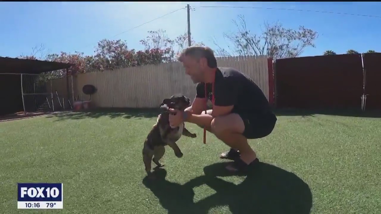 Arizona man trains and cares for dogs of Phoenix Suns players