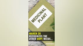 It's Weed Appreciation Day!