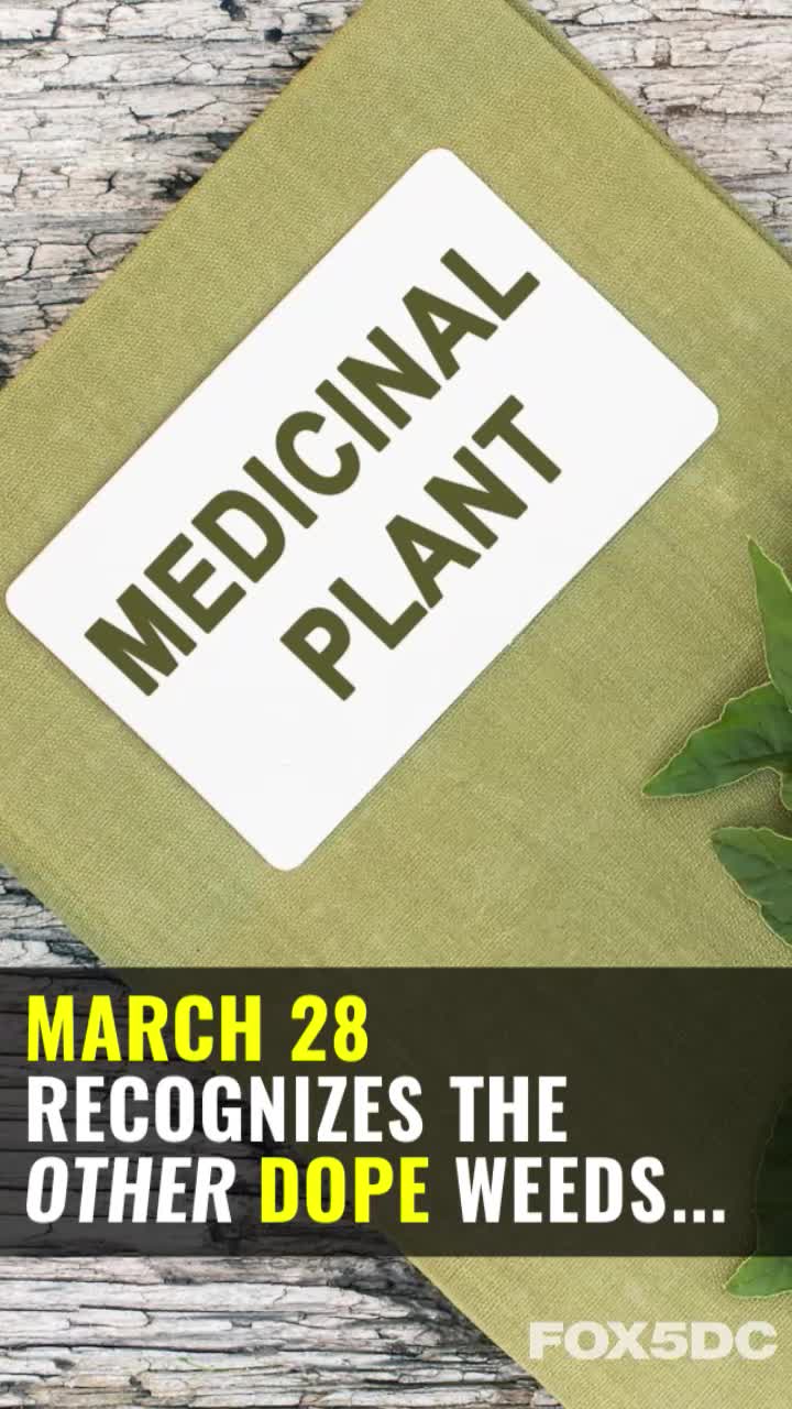 It's Weed Appreciation Day!