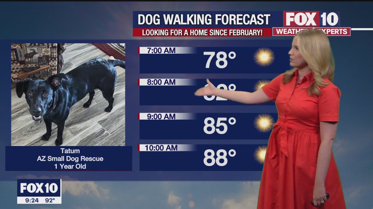 Evening Weather Forecast - 5/21/23