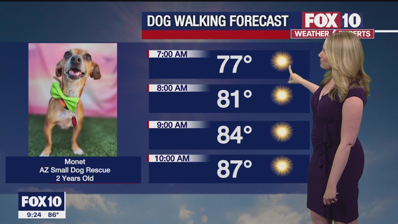 Evening Weather Forecast - 5/20/23