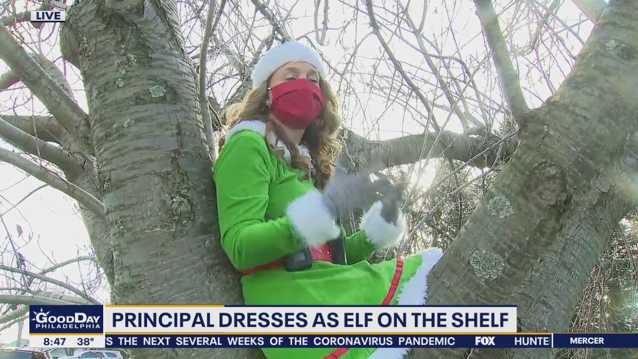 Local principal dresses as an elf on the shelf