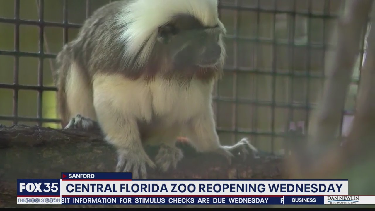 Central Florida Zoo reopens Wednesday