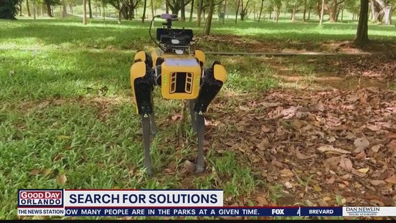 Search for Solutions: Summer fun and robots on the run