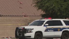 Woman detained in south Phoenix shooting