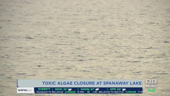 Toxic algae closes Spanaway Lake ahead of holiday weekend