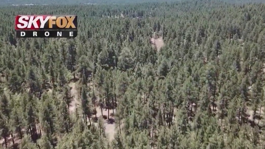 Tonto National Forest fire restrictions in effect