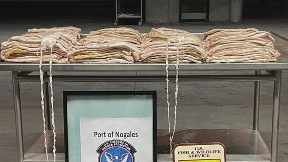 $2.7 million fish bladder seizure in Arizona