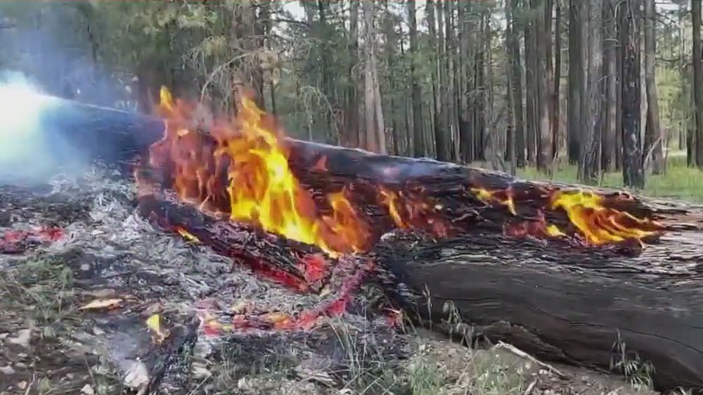 Crews preparing for active AZ wildfire season