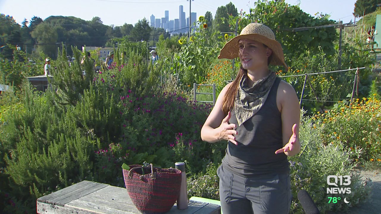 Historic jobless claims