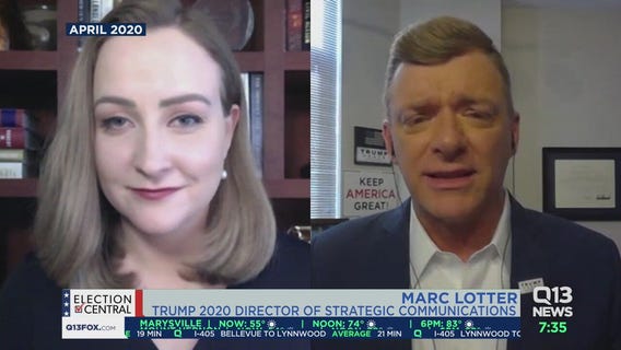 Trump suggests delaying the November presidential election