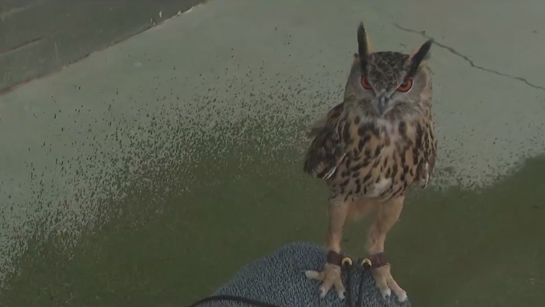 Phoenix Zoo keeping animals cool amid heat