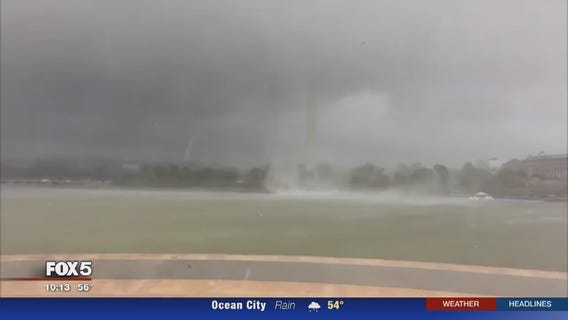 High winds bring down cherry trees at Tidal Basin