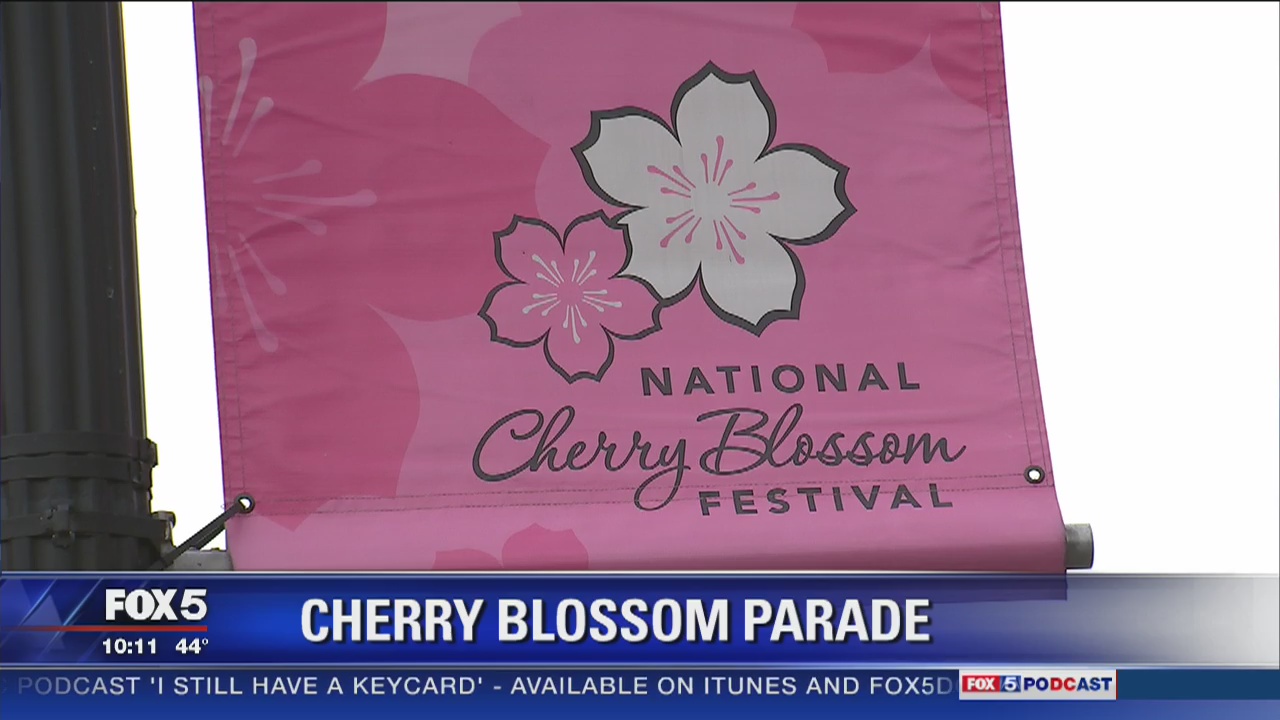 Preparing for the National Cherry Blossom Festival Parade