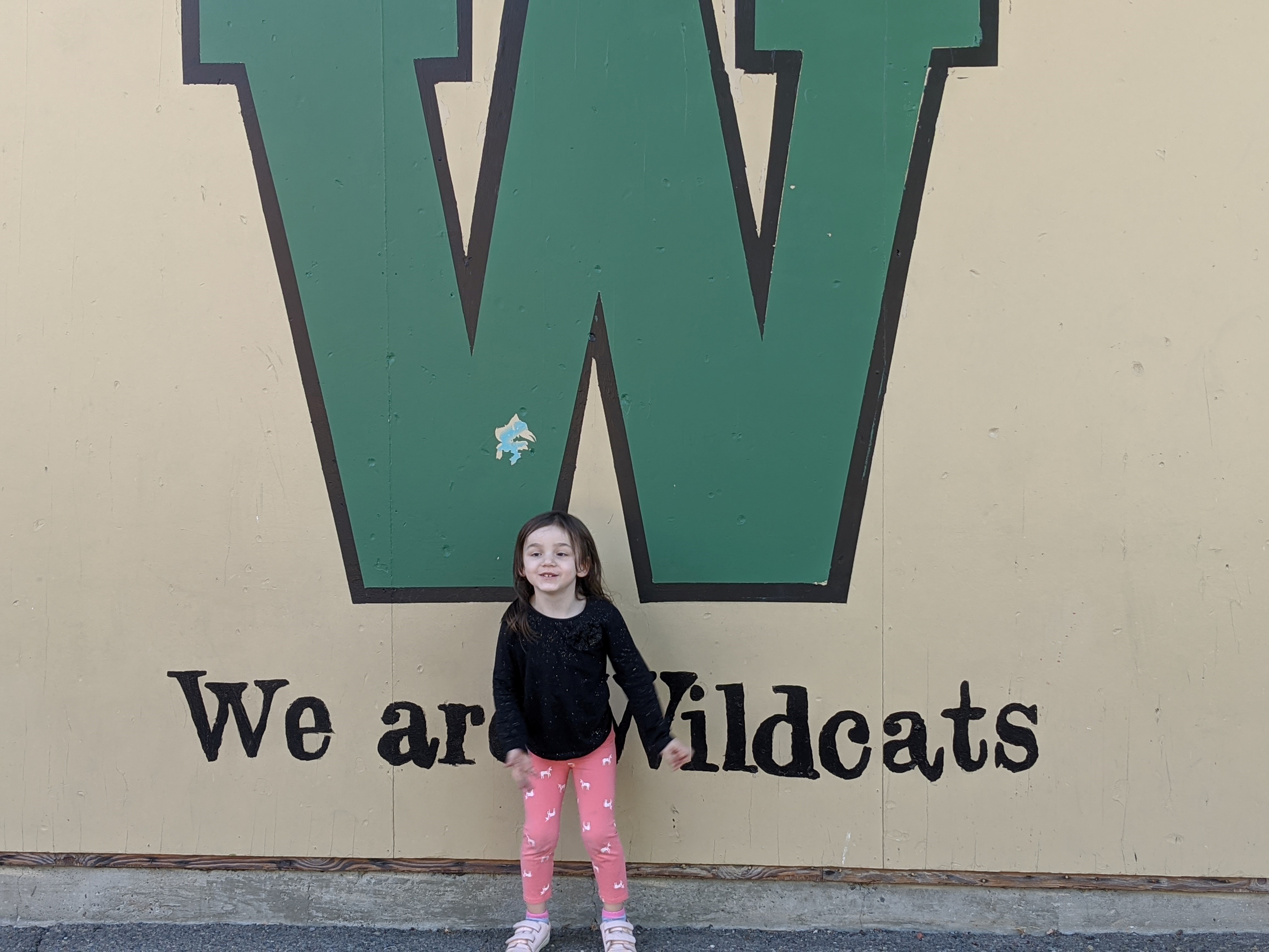 Tips for using resources on a budget