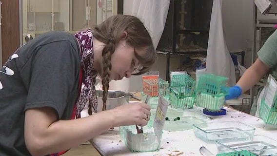 Liberty Wildlife in Phoenix looking for volunteers