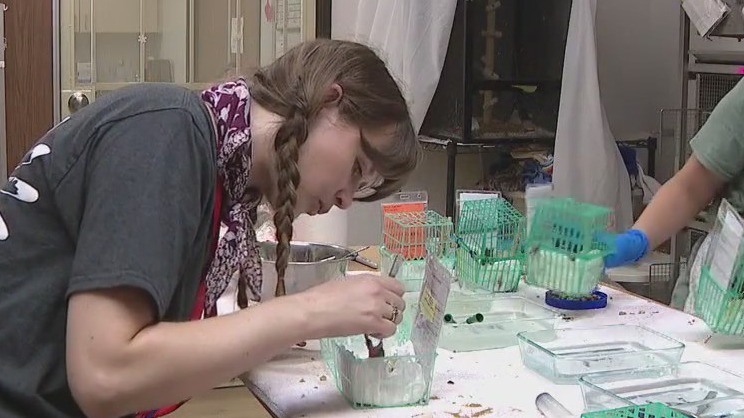 Liberty Wildlife in Phoenix looking for volunteers