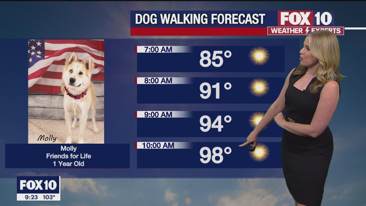 Evening Weather Forecast - 7/1/23