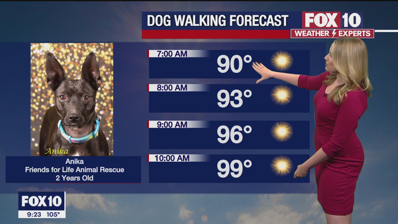 Evening Weather Forecast - 7/2/23