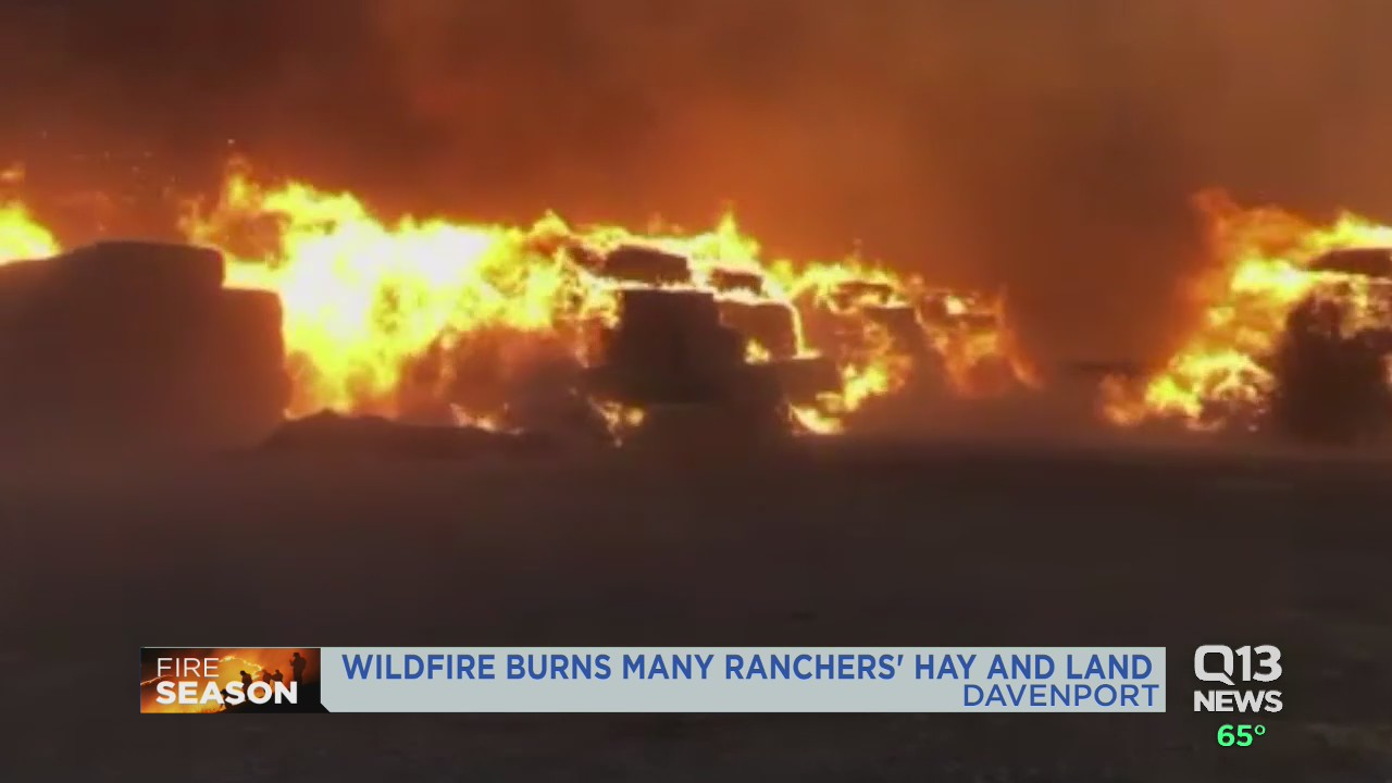 Washington ranchers hit hard by wildfires