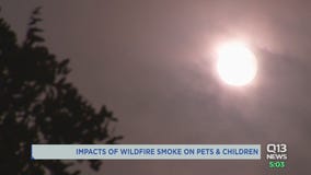 Kids, pets more at risk with smoke exposure